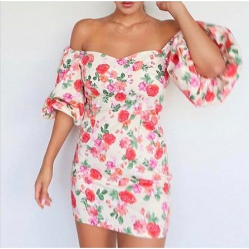 Zara The Caroline Floral Puff Sleeve Dress Size XS